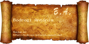 Bodrogi Antónia névjegykártya